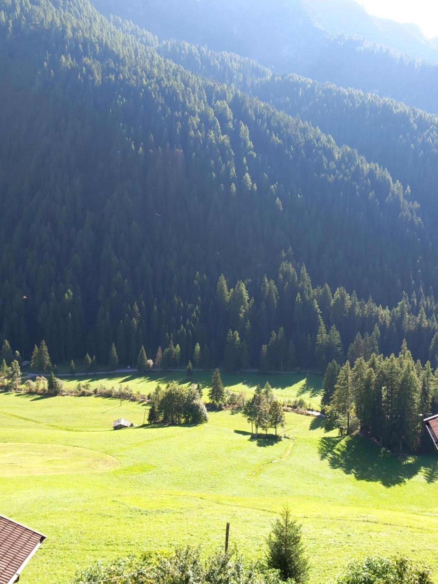 Gasthof Innerwalten San Leonardo in Passiria Zewnętrze zdjęcie