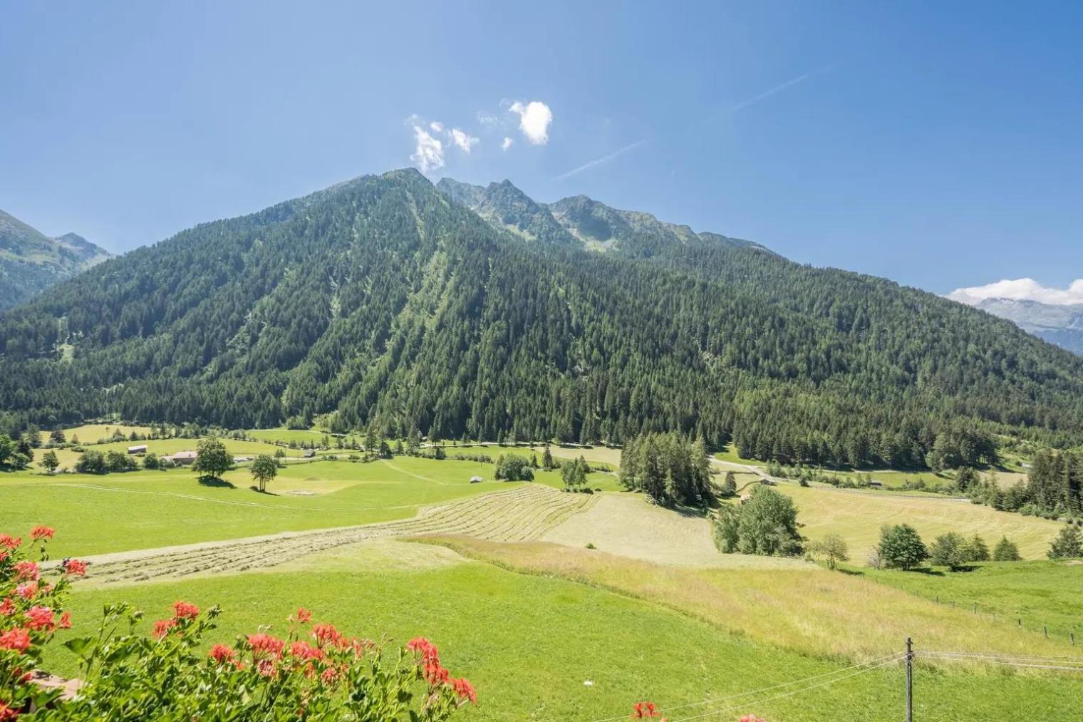 Gasthof Innerwalten San Leonardo in Passiria Zewnętrze zdjęcie