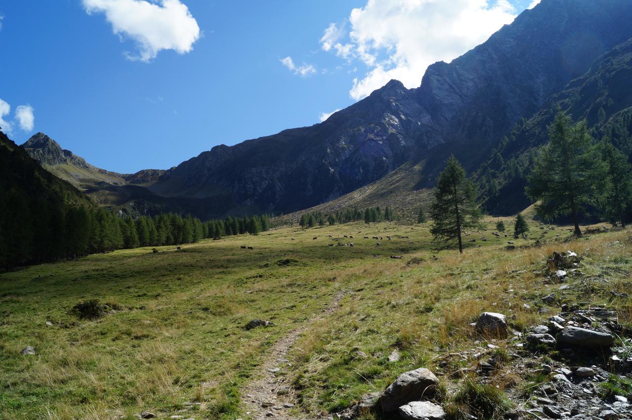 Gasthof Innerwalten San Leonardo in Passiria Zewnętrze zdjęcie